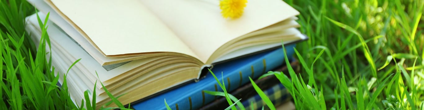 Description of the image